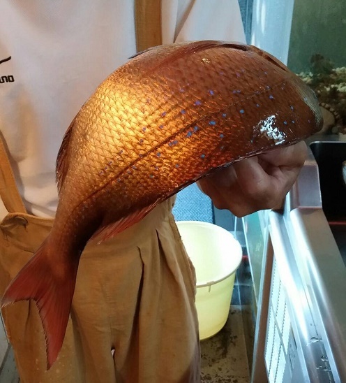 1464236224946.jpg
