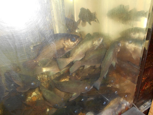 DSCN1576.jpg