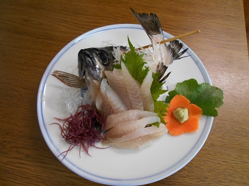 DSCN1577.jpg