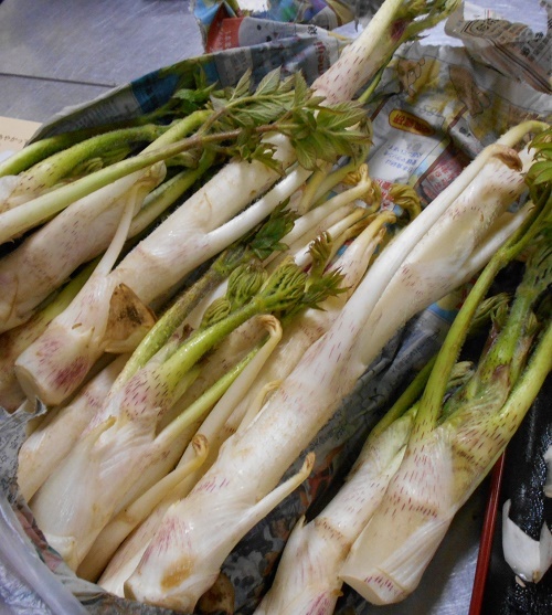 DSCN1598.jpg