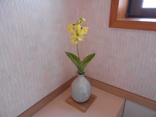 DSCN1607.jpg