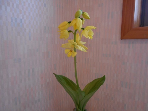DSCN1608.jpg