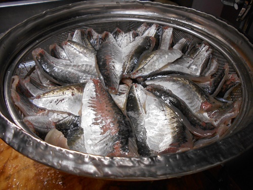 DSCN1652.jpg