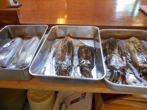 DSCN1785.jpg