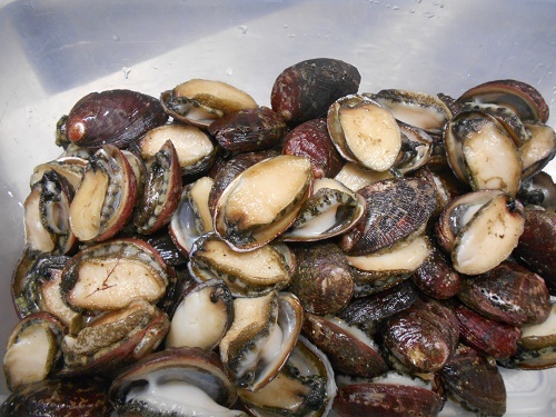 DSCN1789.jpg
