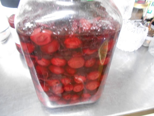 DSCN1800.jpg