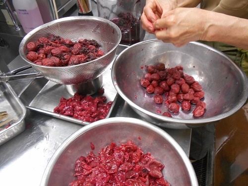 DSCN1805.jpg