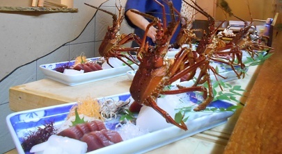 DSCN1826.jpg