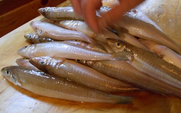 DSCN1853.jpg