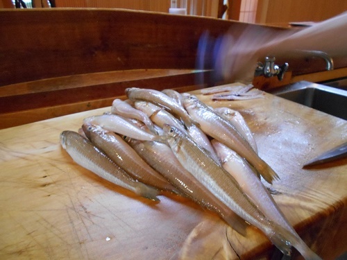 DSCN1854.jpg