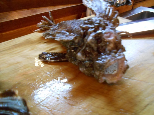 DSCN1876.jpg