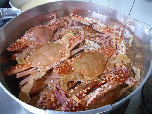 DSCN1929.jpg