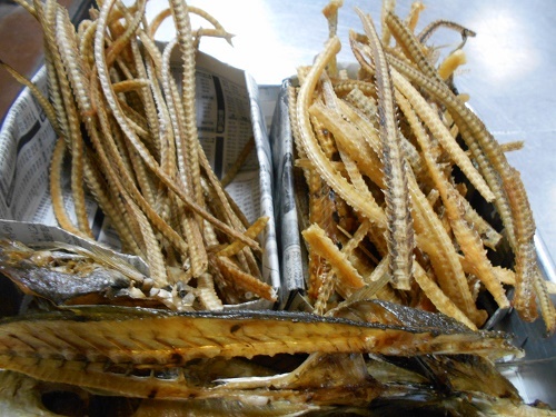 DSCN2012.jpg