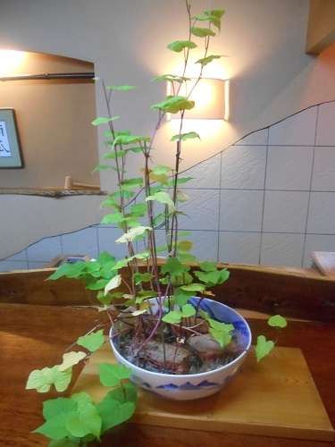 DSCN2160.jpg