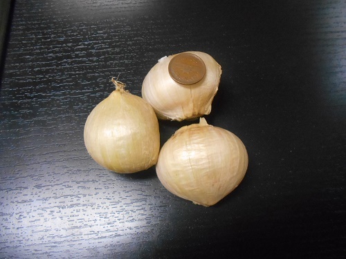 DSCN2164.jpg