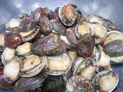 DSCN2186.jpg