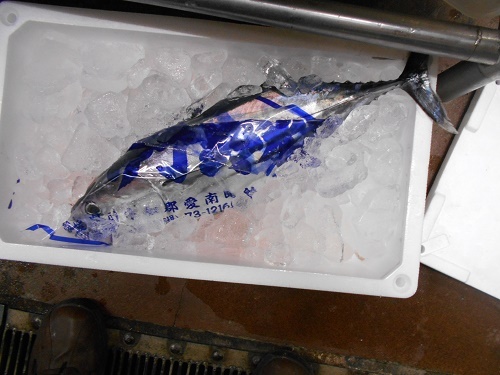 DSCN25222.jpg