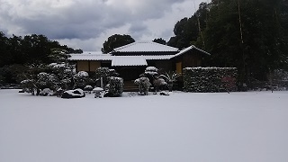 DSC_0283.jpg