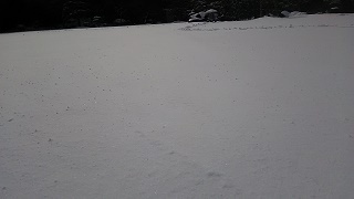 DSC_0291.jpg