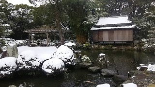 DSC_0292.jpg
