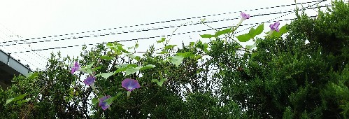 IMG_20170826_121244.jpg